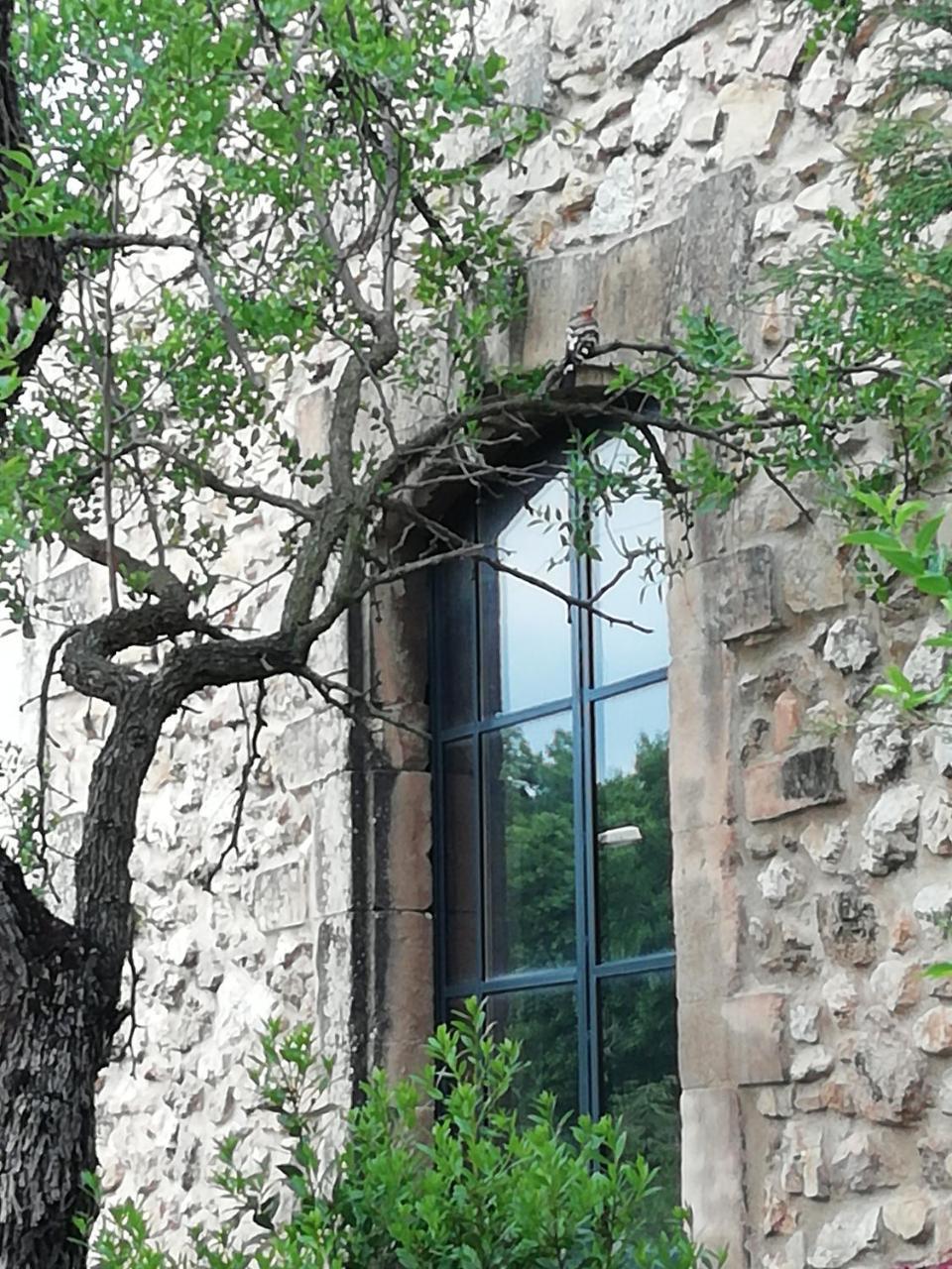 Mazet Des Artistes Mouries Exterior foto